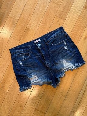 High Rise Denim Shorts Size 15/32W